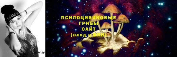 синтетический гашиш Богородицк