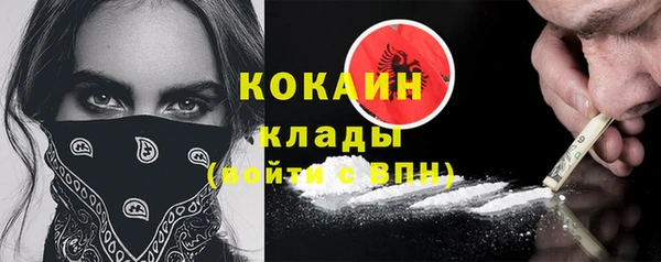 крисы Баксан